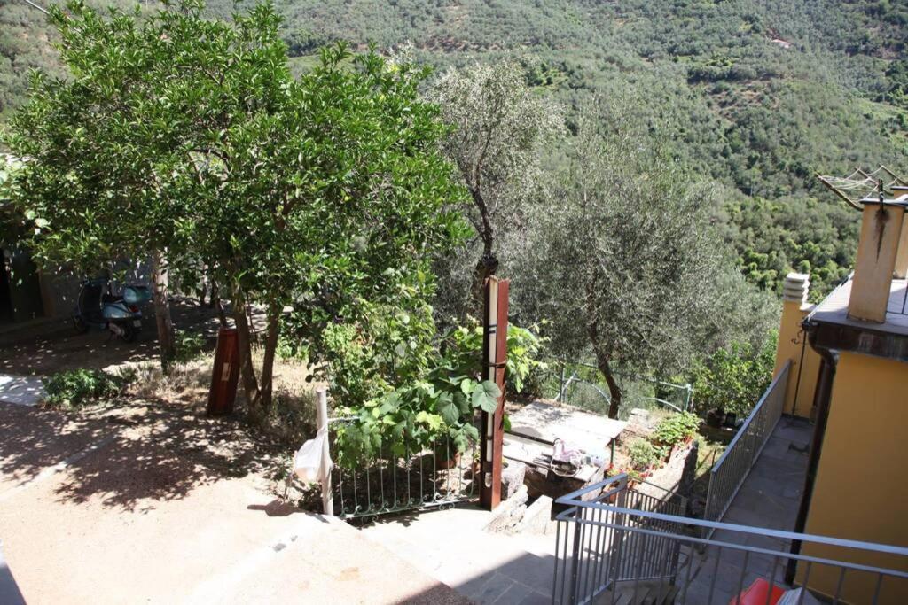 Le Case Della Lizza - Casa Verde Levanto Bagian luar foto
