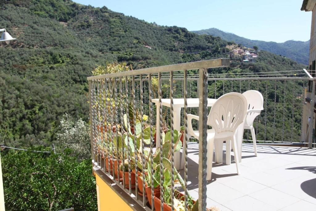Le Case Della Lizza - Casa Verde Levanto Bagian luar foto